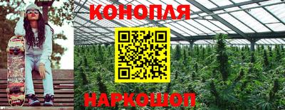 тгк Краснокаменск