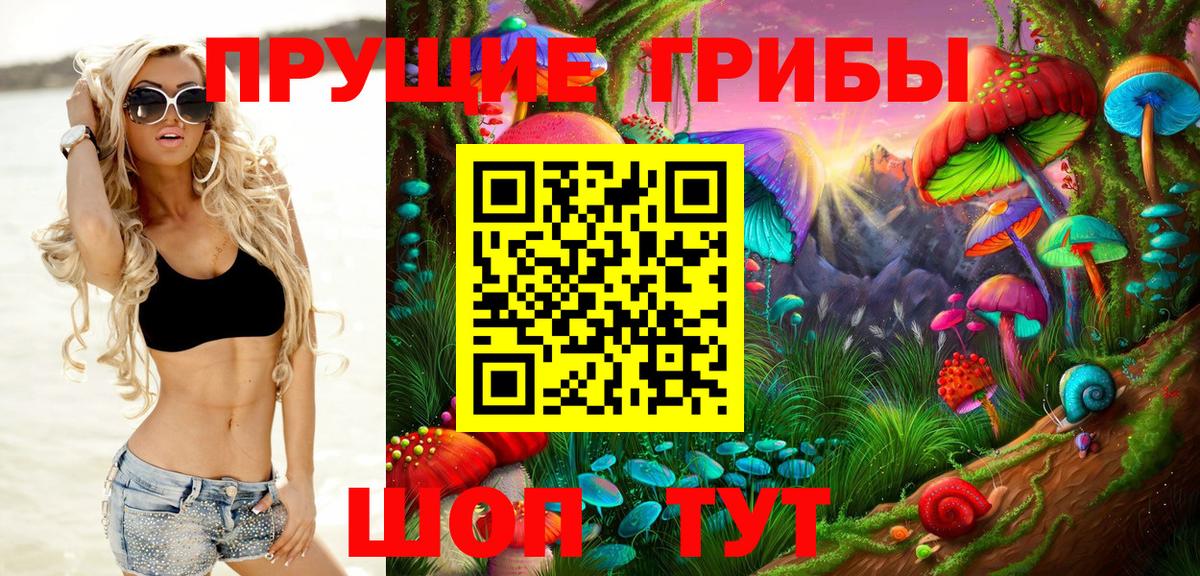 Галлюциногенные грибы GOLDEN TEACHER Зеленокумск